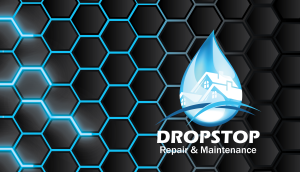 Logo & Business Card